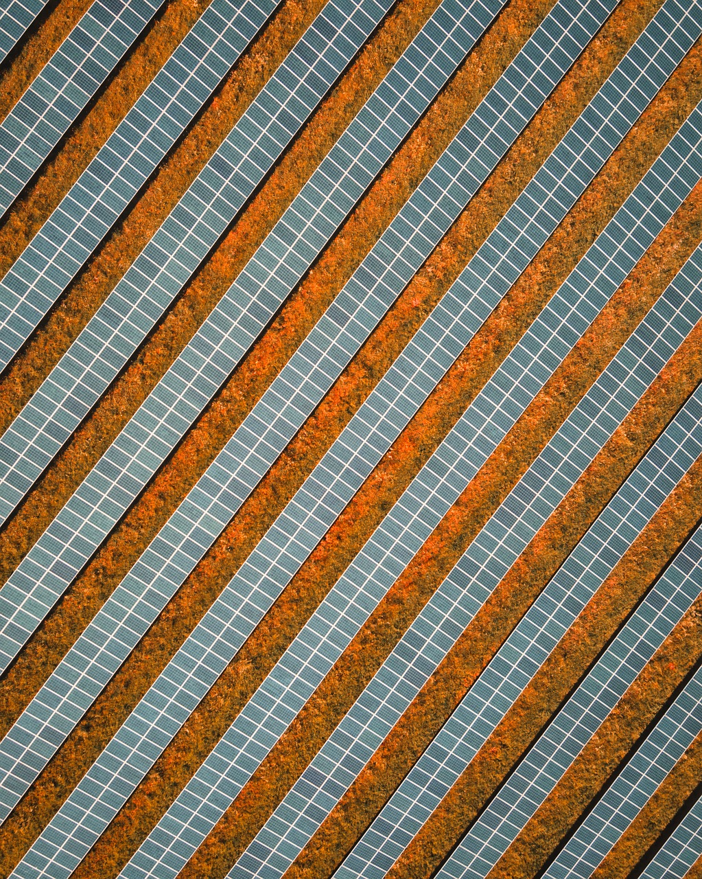 solar, solar field, solar system, photovoltaic, solar energy, solar panel, solar cells, energy, solar power, electricity, energy transition, photovoltaic system, power generation, renewable, sun, technology, environment, light, power supply, voltage, turn, drone, nature, aerial view